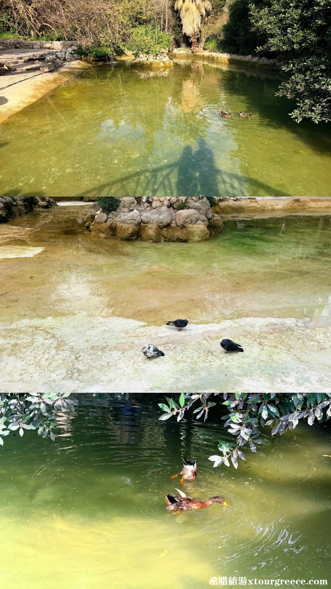 📍雅典｜山顶属于神明 山下属于众生_2.jpg