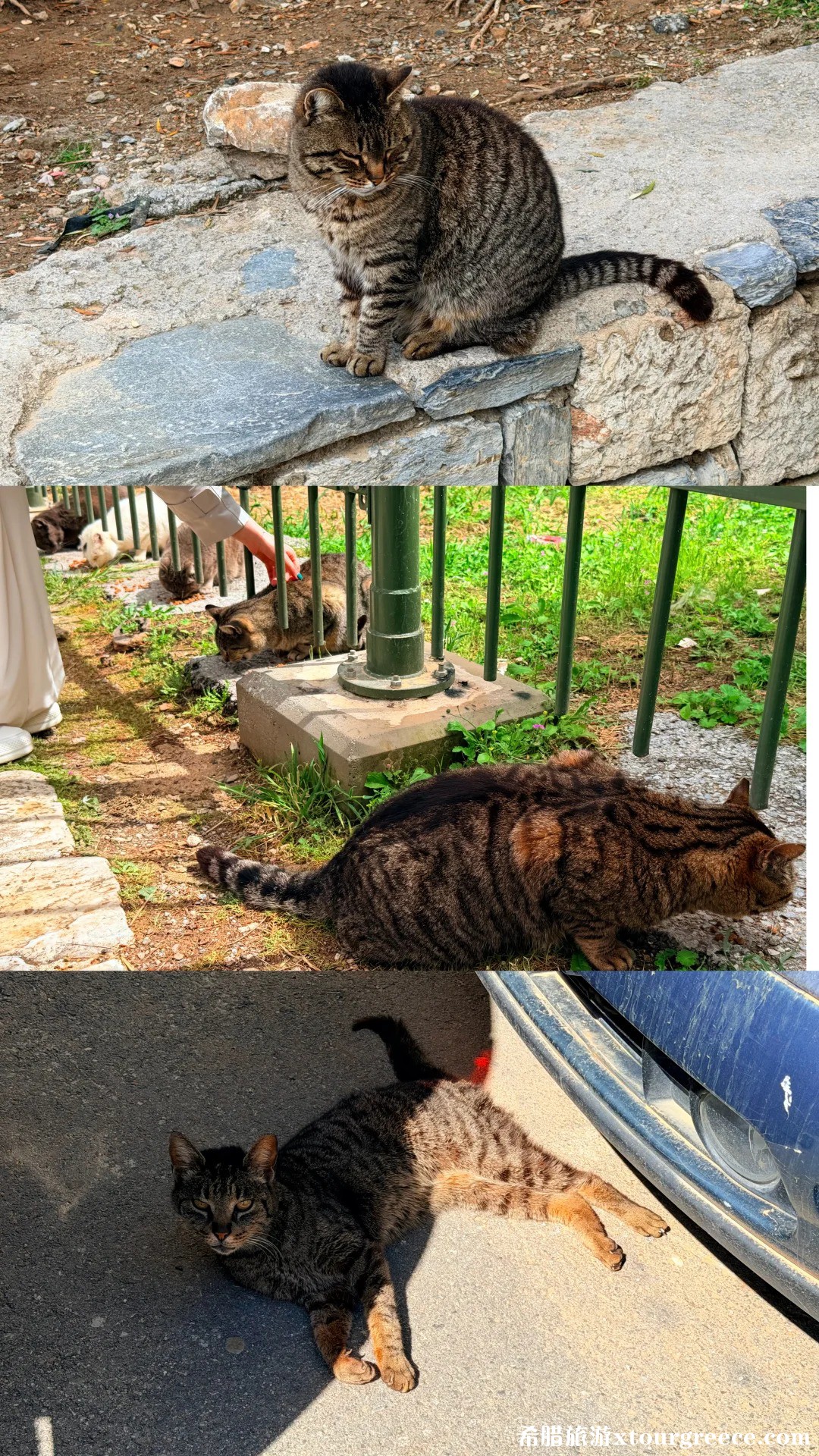 📍雅典｜山顶属于神明 山下属于众生_3.jpg